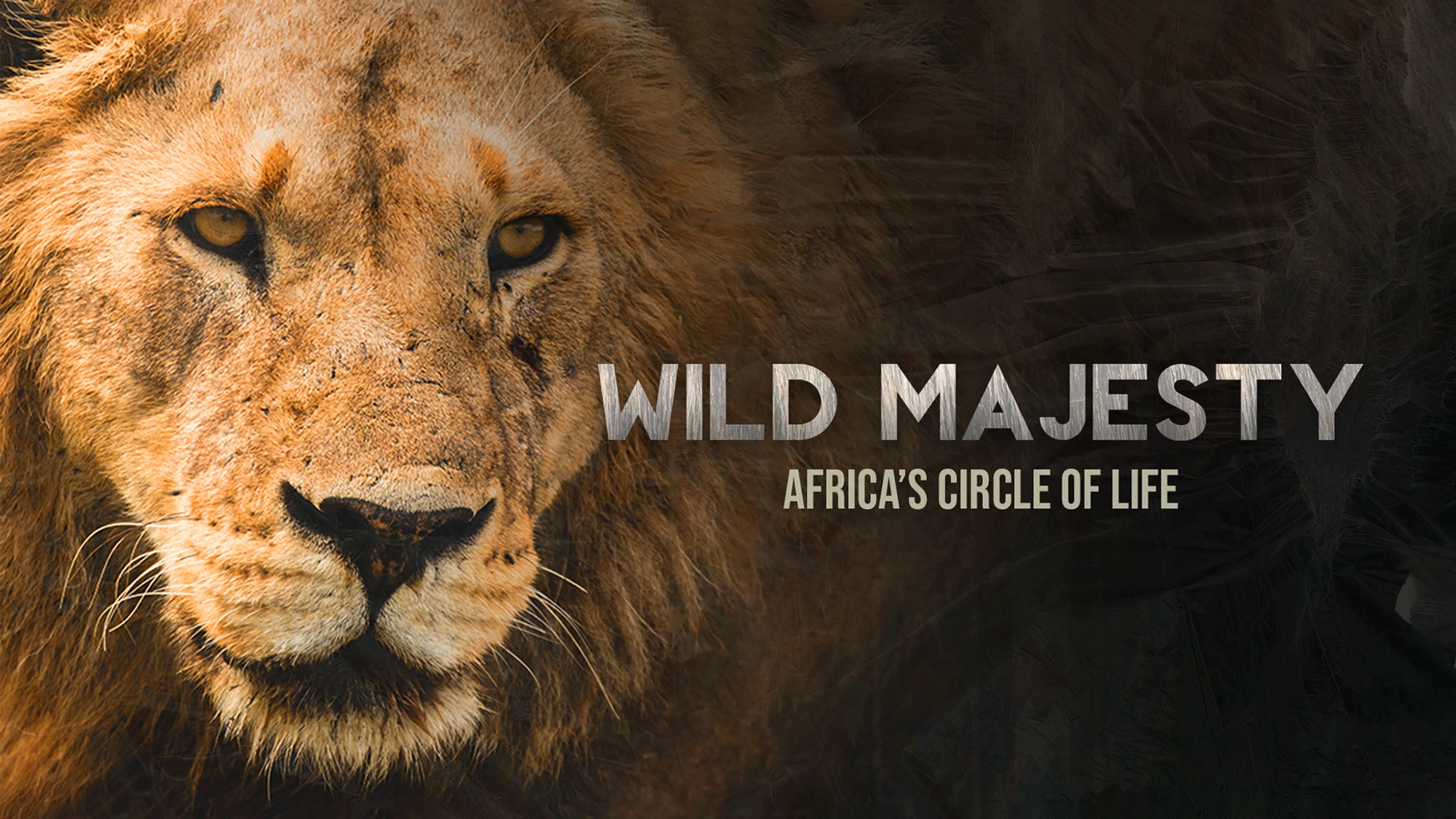 Wild Majesty: Africa's Circle of Life poster